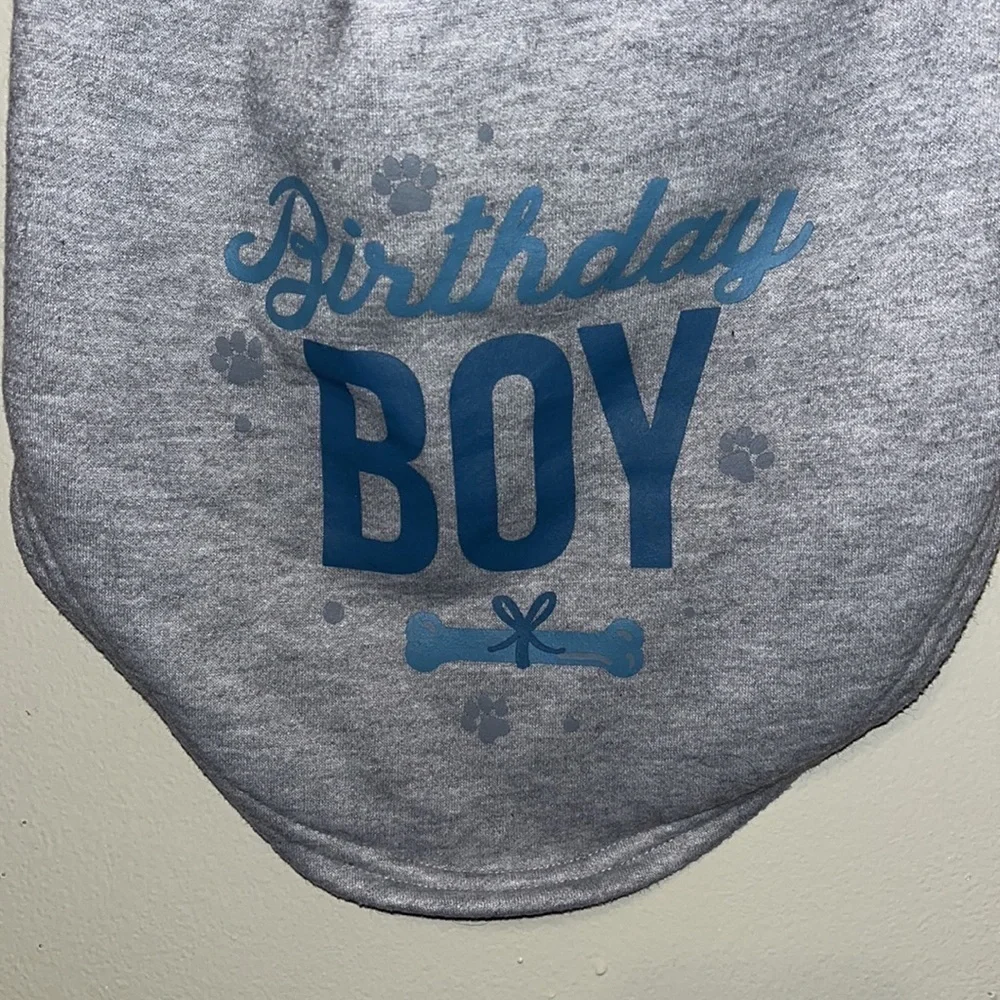 Novogratz Dog Shirt Birthday Boy Gray and Blue
